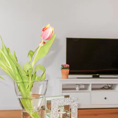 Modernes 3 Naehe Friedberg & 30 Min Zur Messe Frankfurt Apartment